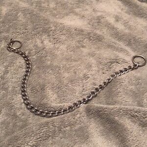 Silver Chain  dog collar